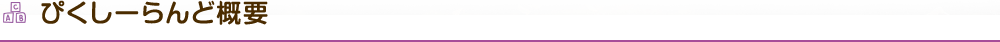 ぴくしーらんど要項