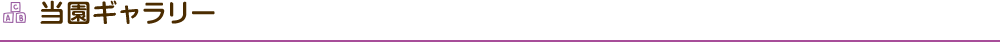 当園ギャラリー